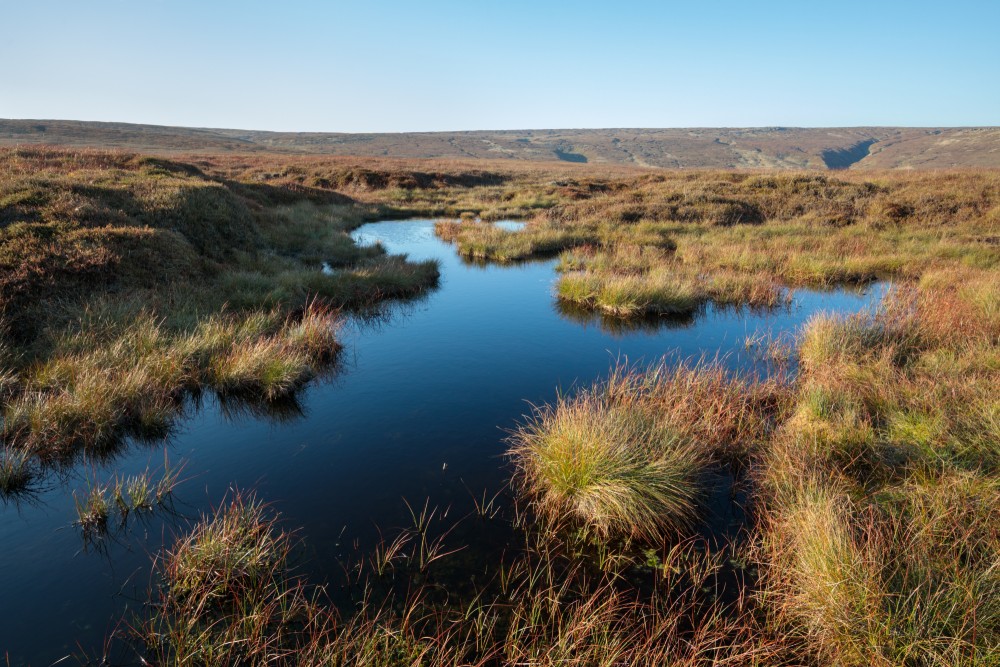 xReducing the risk of flooding