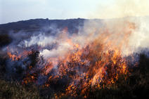 Fire blazing on moorland