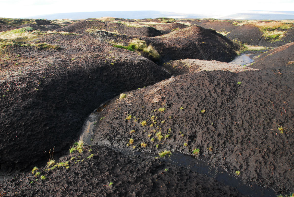 Image of bare peat with deep erosion gullies