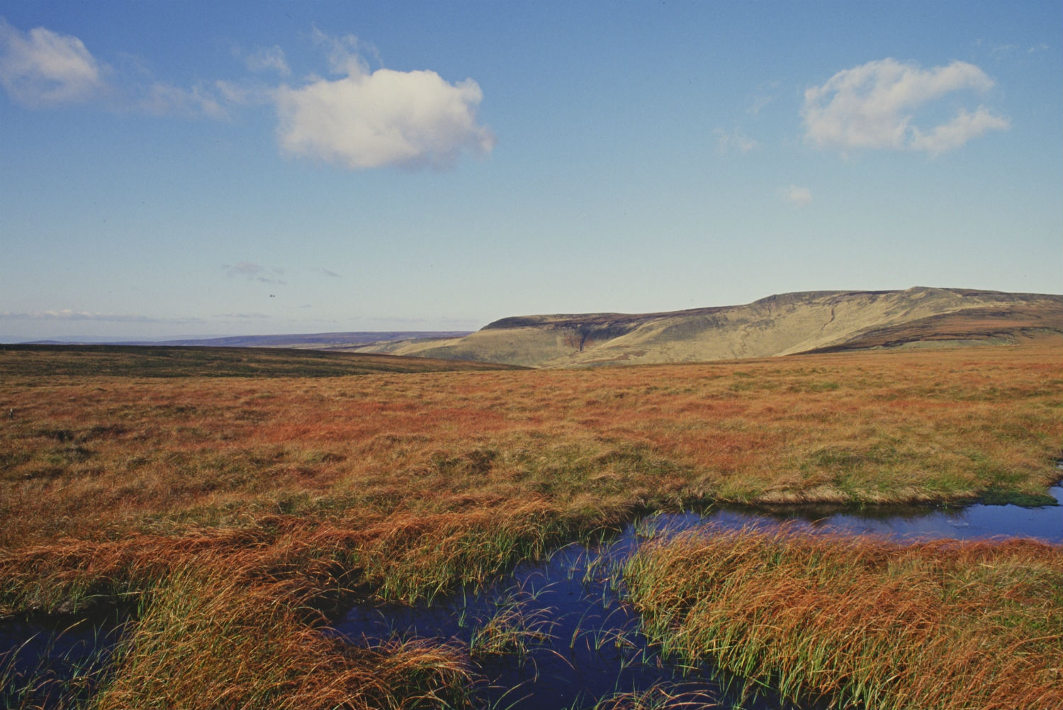 Blanket bog