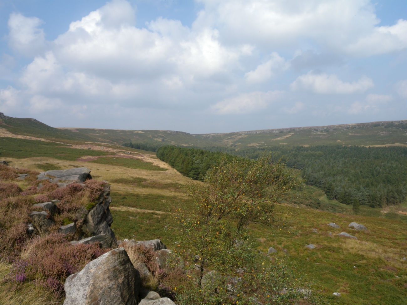 Hills covered in grass looking out to Burbage 