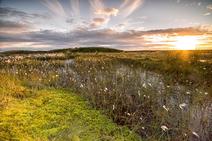 Sun setting over Black Hill 