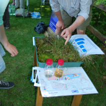 Image of a section of bog at BogFest