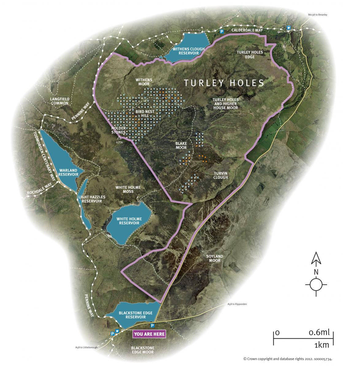 Map of Turley Holes 