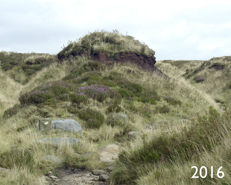 Hearn Clough in 2016