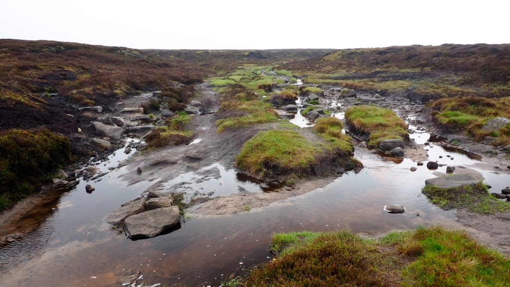 A section of the path before works