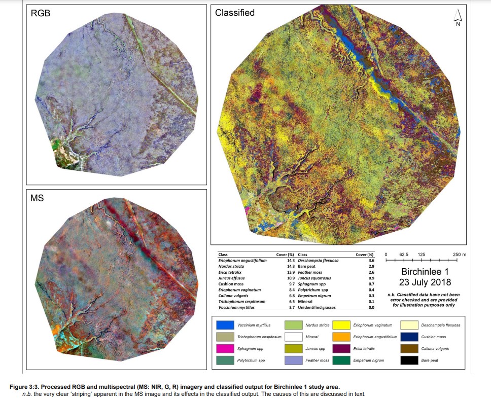 Classified vegetation example