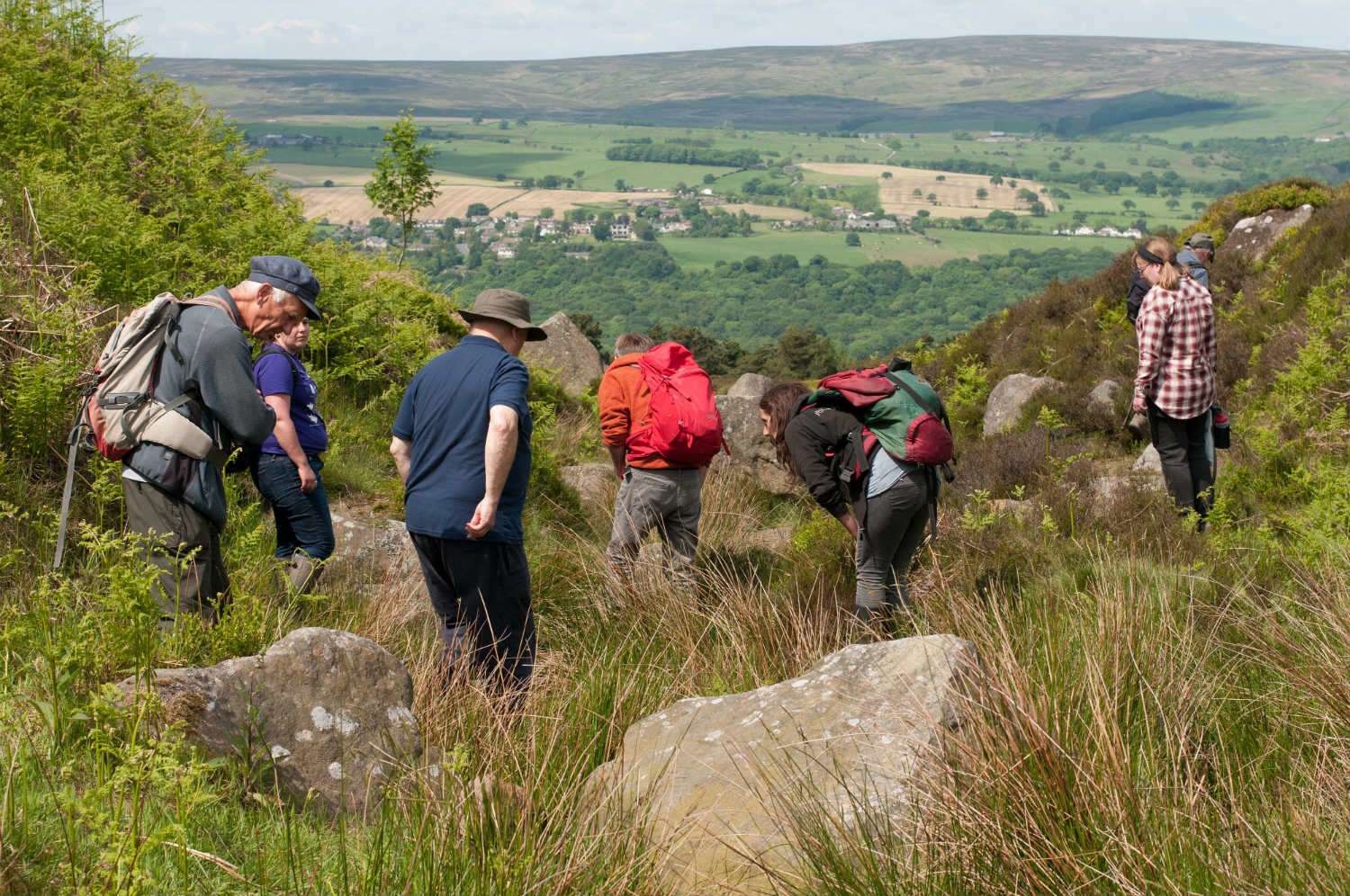 Tails of the Uplands surveyors