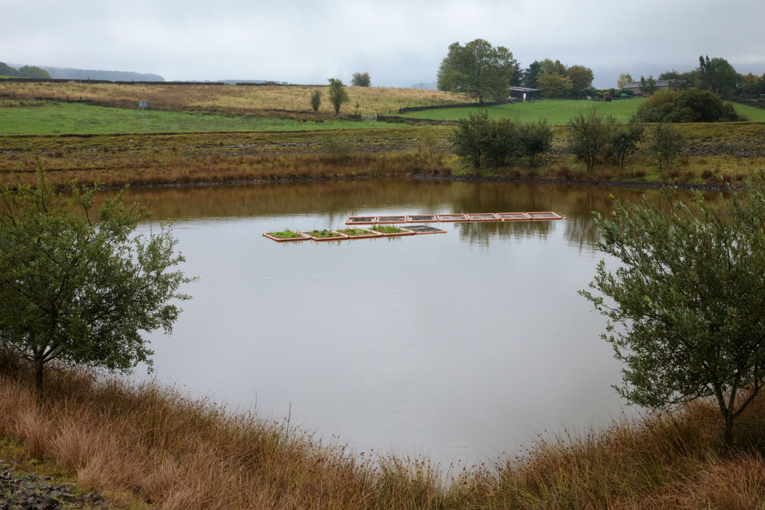 Sphagnum raft