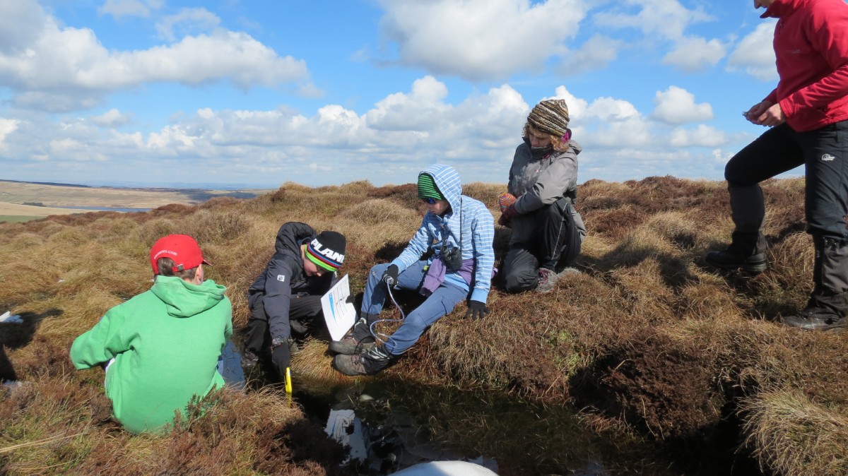 Young rangers dipwell sampling