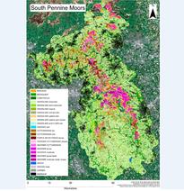 Land Cover Map 