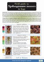 Image of the field guide to sphagnum mosses 