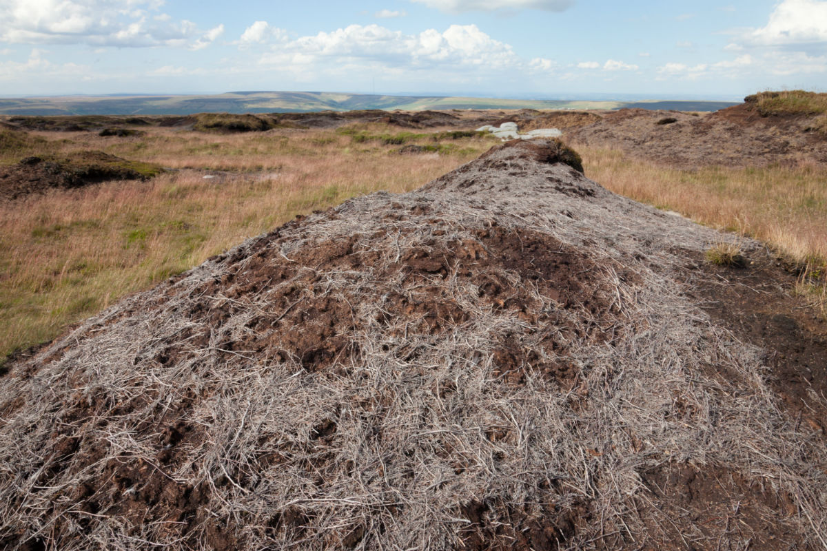 Image of bare peat on Bleaklow before the project commenced 