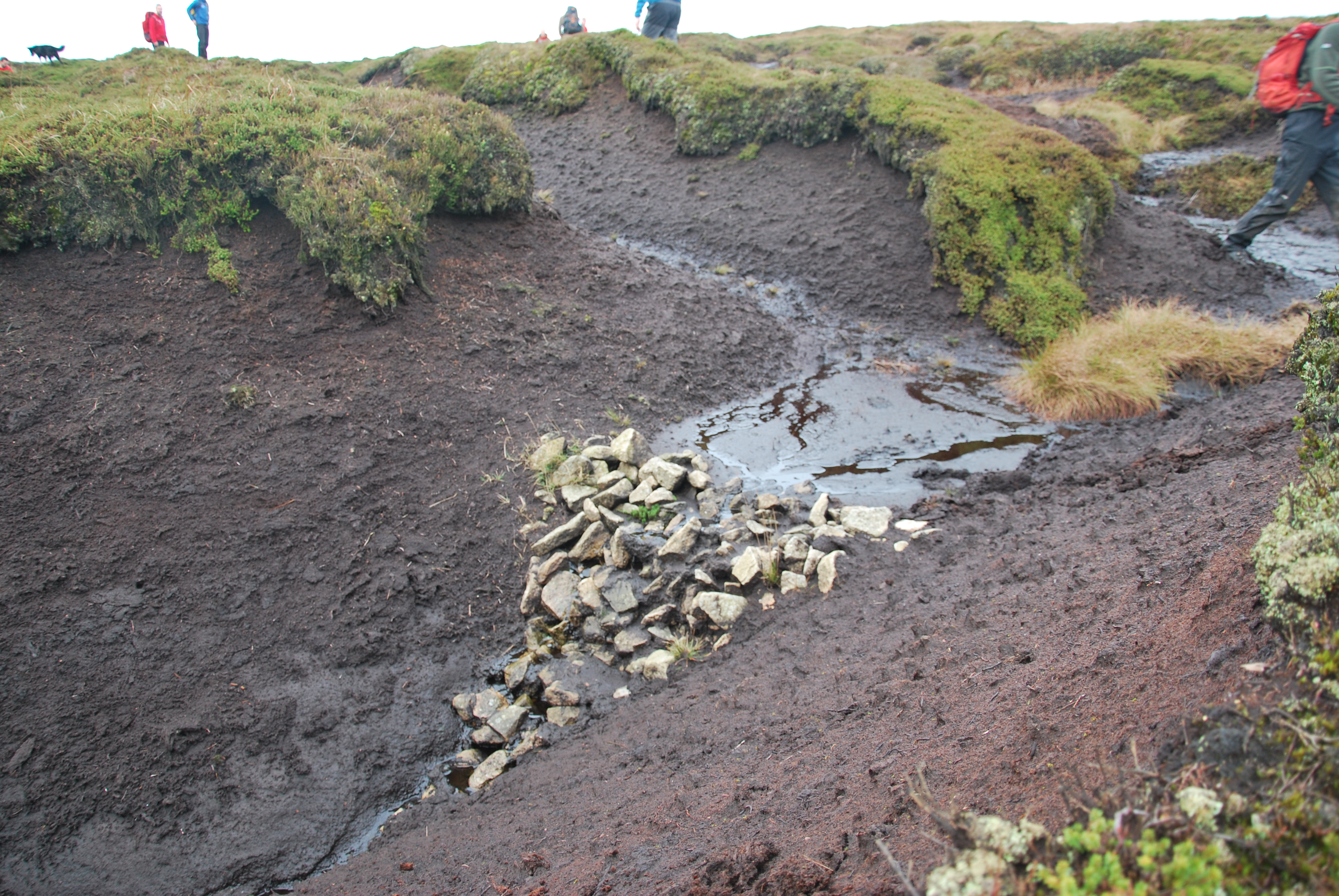 Stone gully block