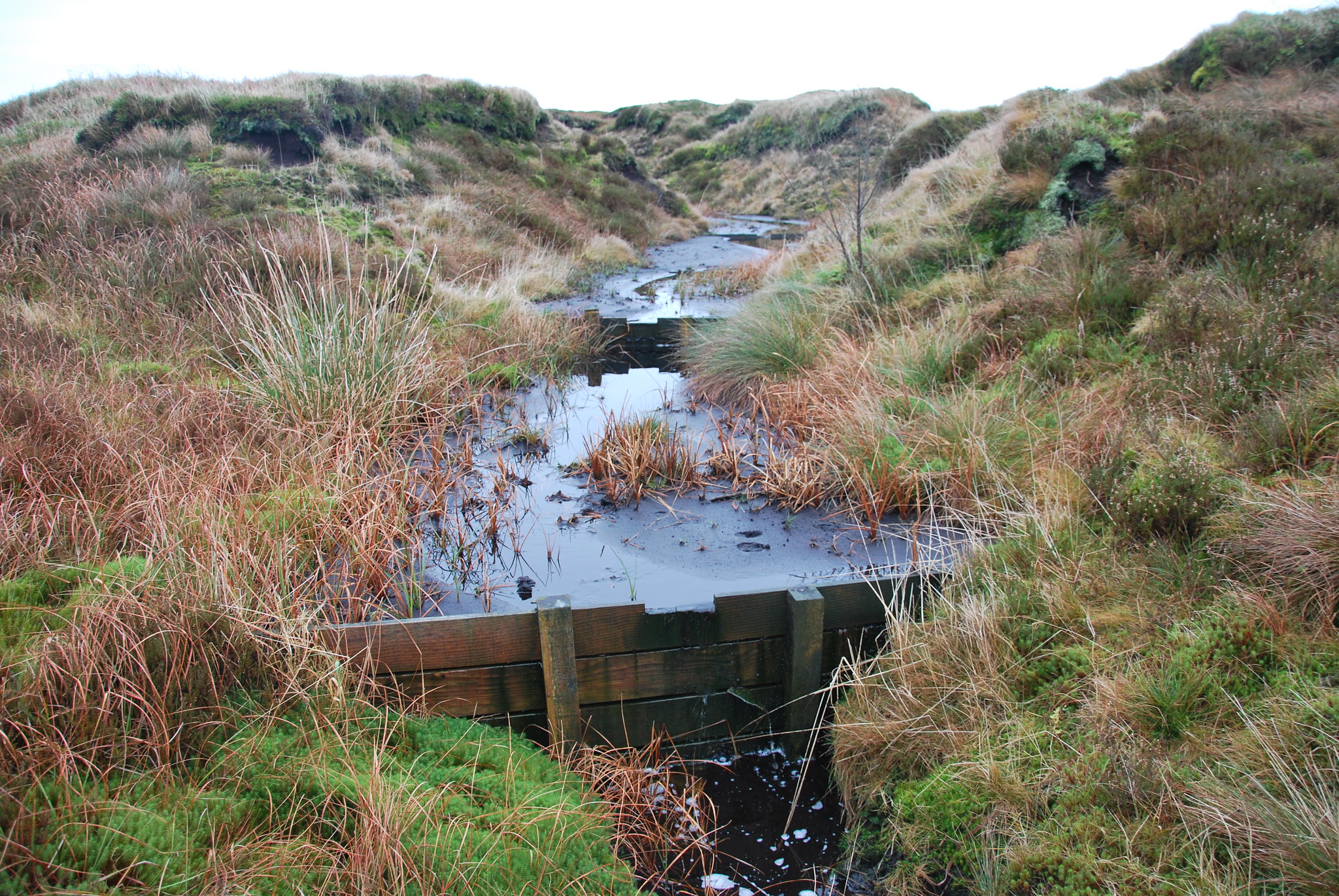 Gully block trapping sediment