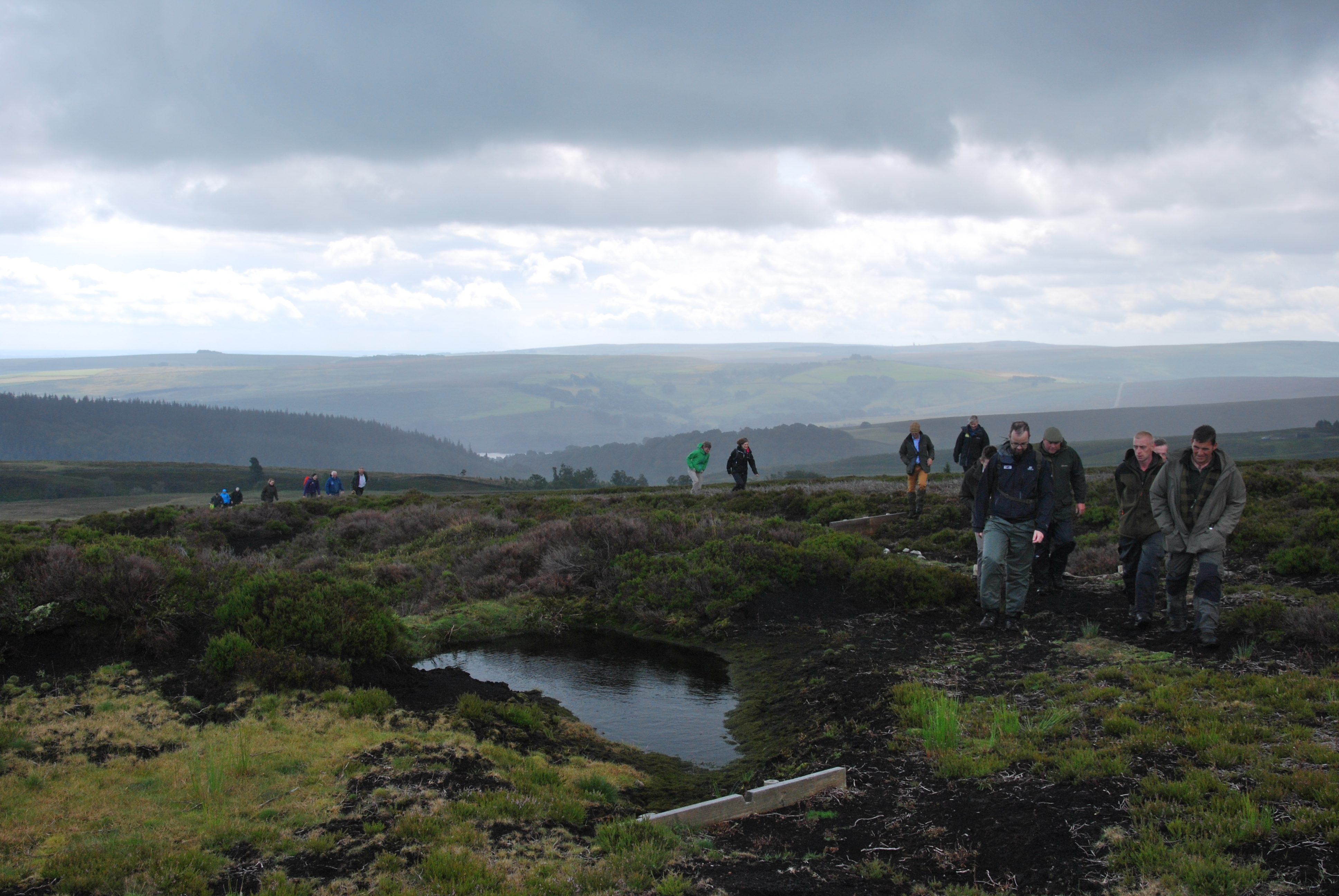 The Heather Trust Conference in the Peak District on Bradfield Moor