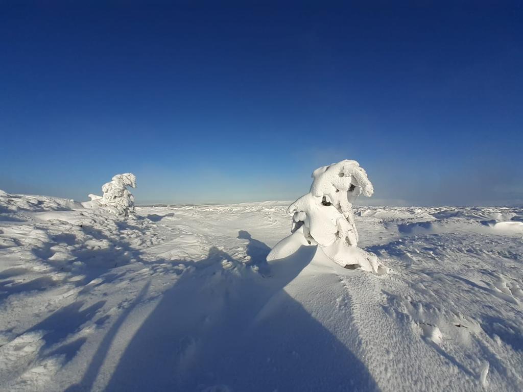 Snowy moorland conditions in 2021