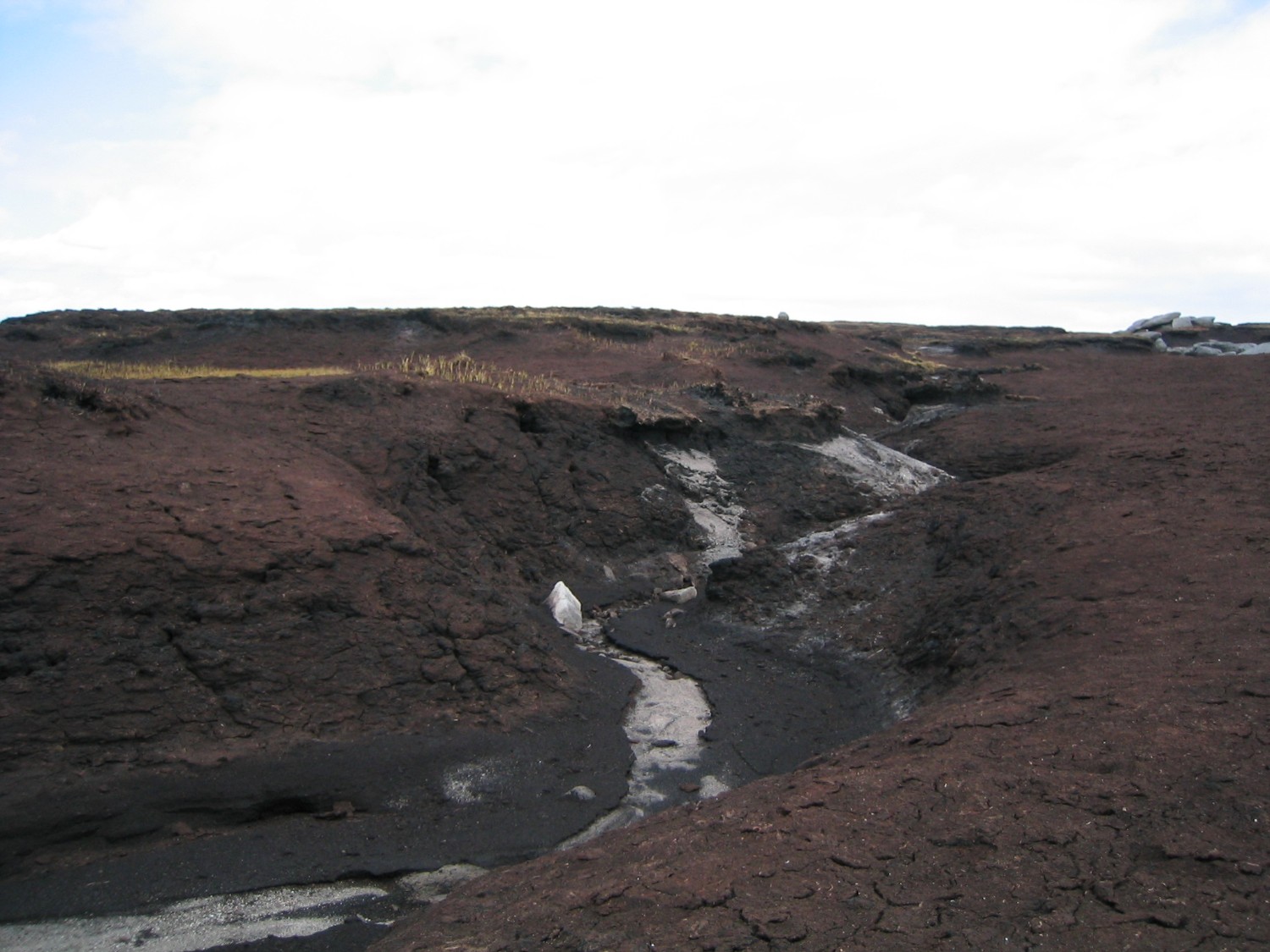 Fire damaged moorland