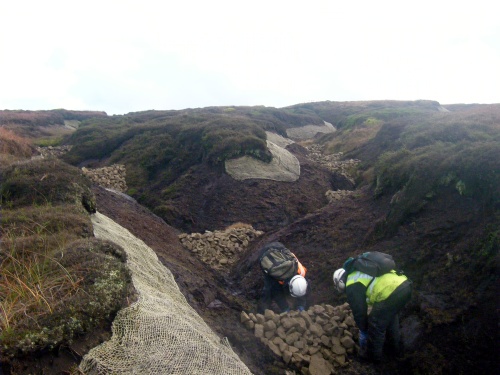 Image of workers blocking a gully