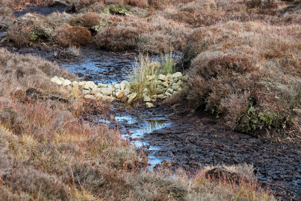 Stone-Dams-Factsheet.pdf