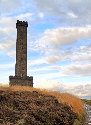 xRestoring Holcombe Moor