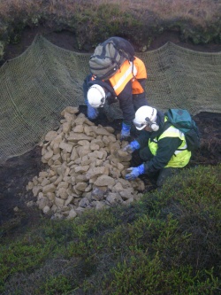 Image of workers blocking a gully