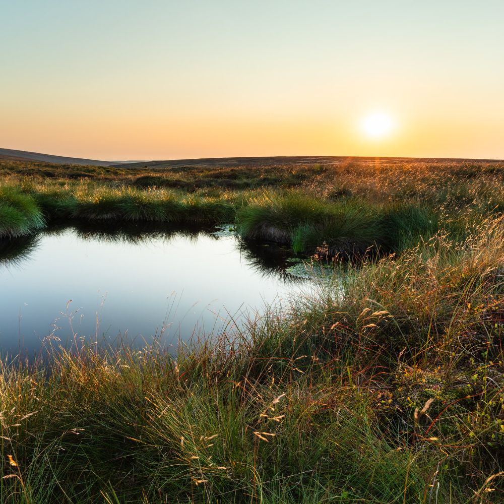 Peat dam at sunset