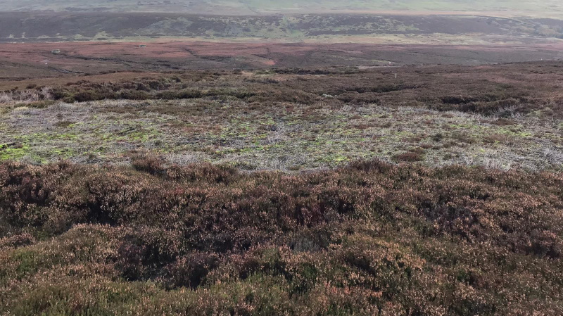 Heather Cutting Heather is cut and the cuttings removed to be used as heather brash. Sphagnum Moss can also be planted in the cuts to aid diversification.