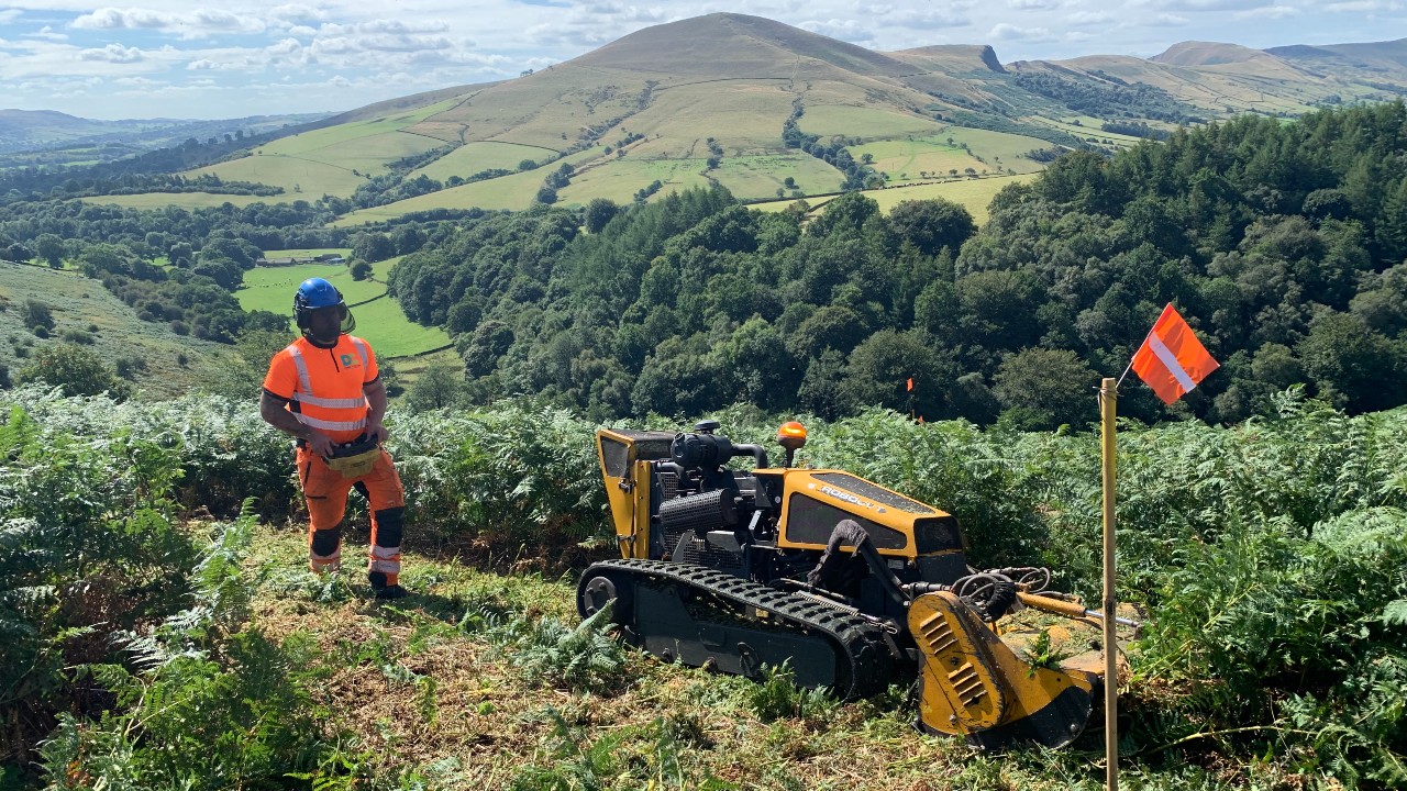 Bracken cutting