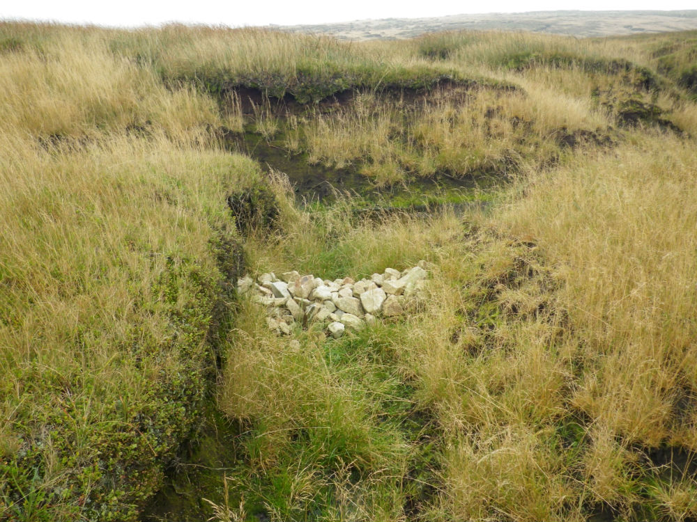 Stone gully block