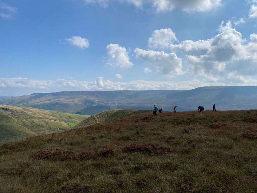 Bleaklow Sitka spruce removal