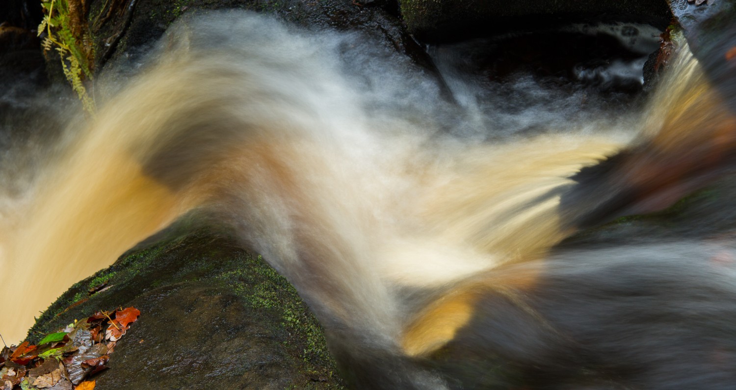 Padley gorge