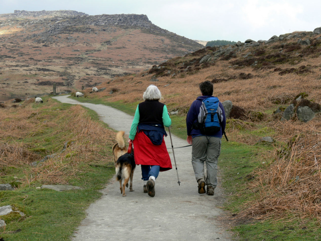 Walkers on path