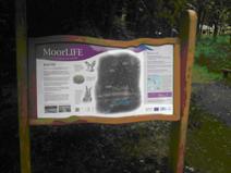 Image of a new MoorLIFE information panel