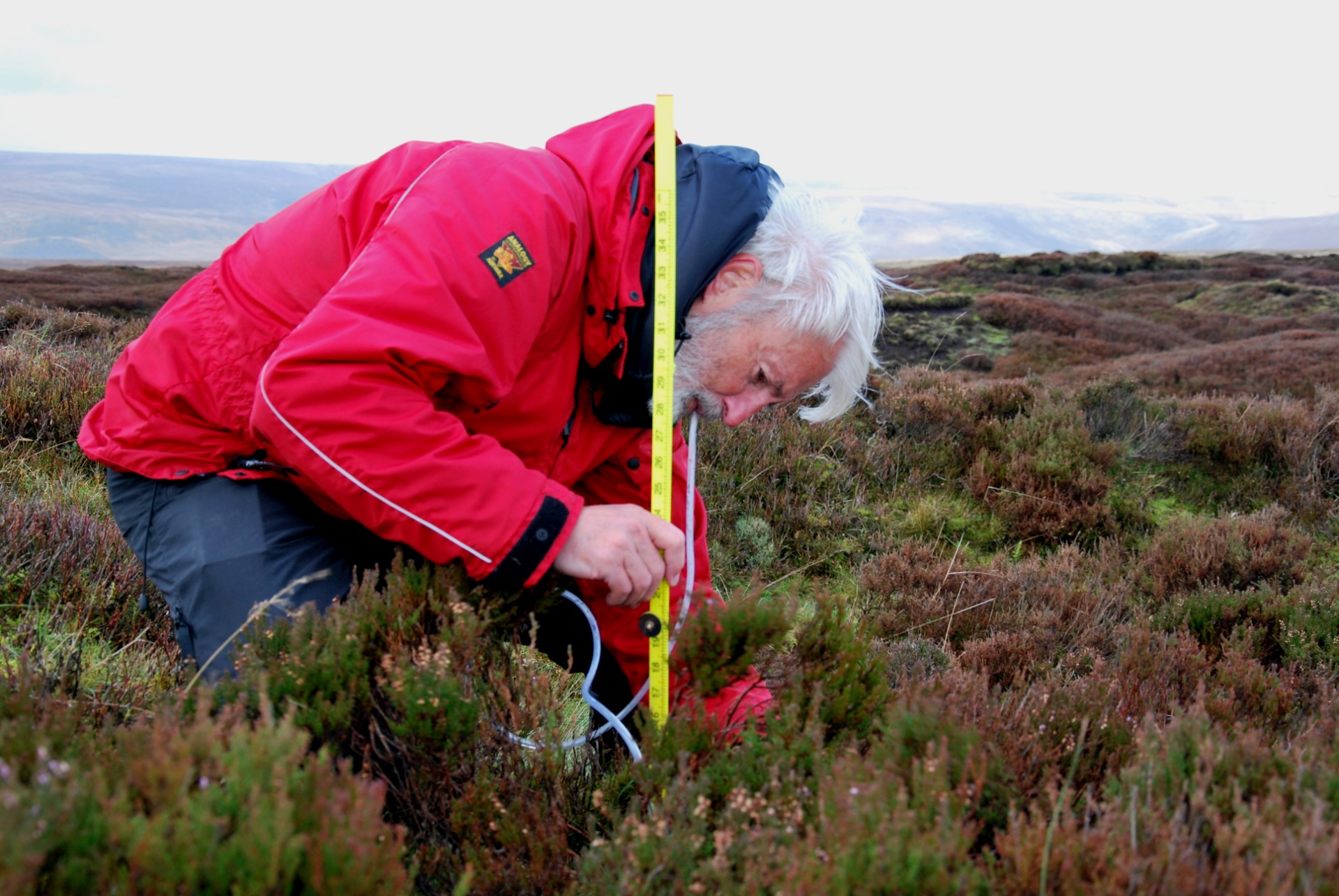 Monitoring the water table as part of the 2019 dipwell campaign