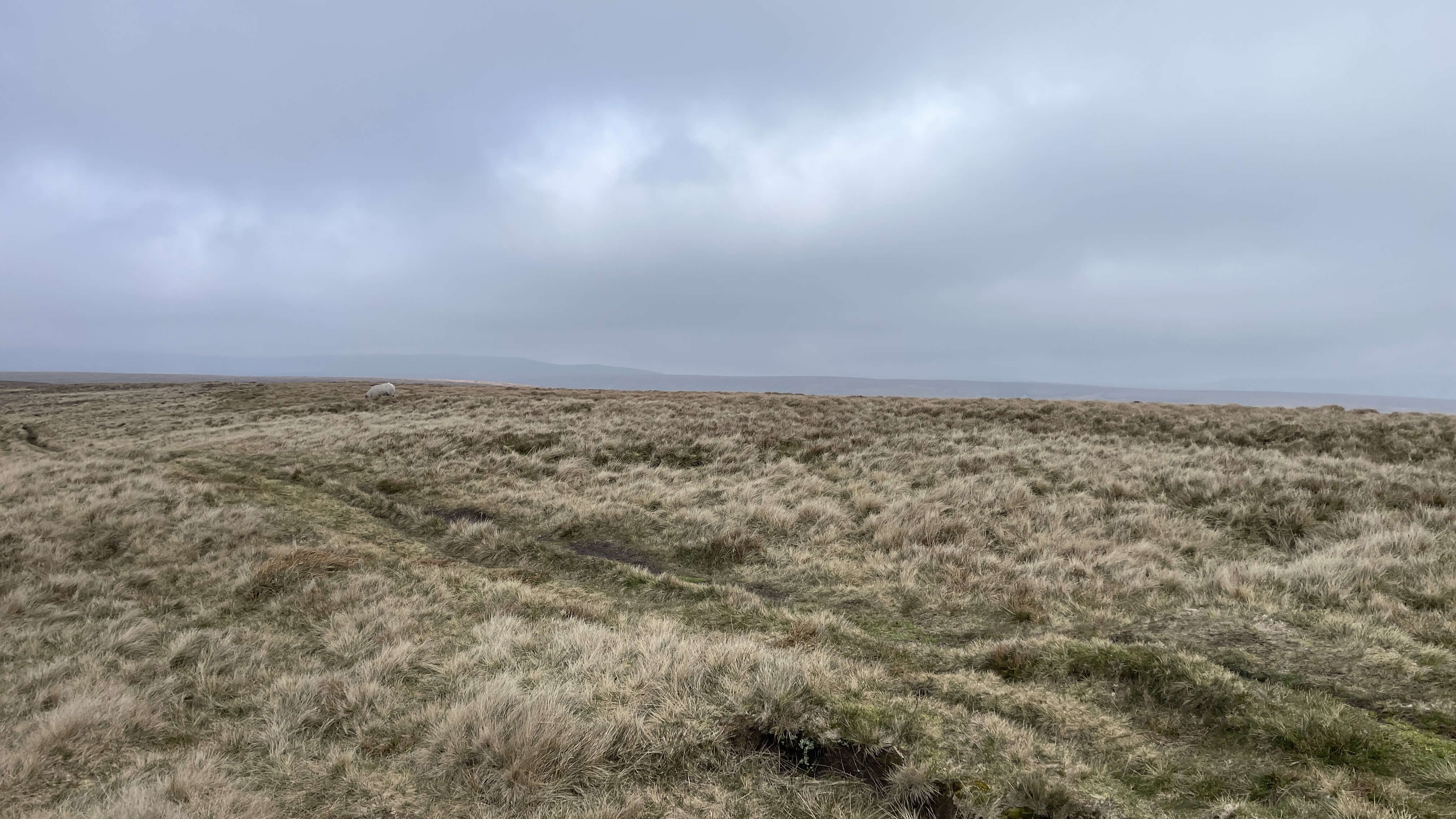 Alport Castles - 9 April 2023