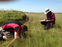 Image of two scientists surveying a quadrat