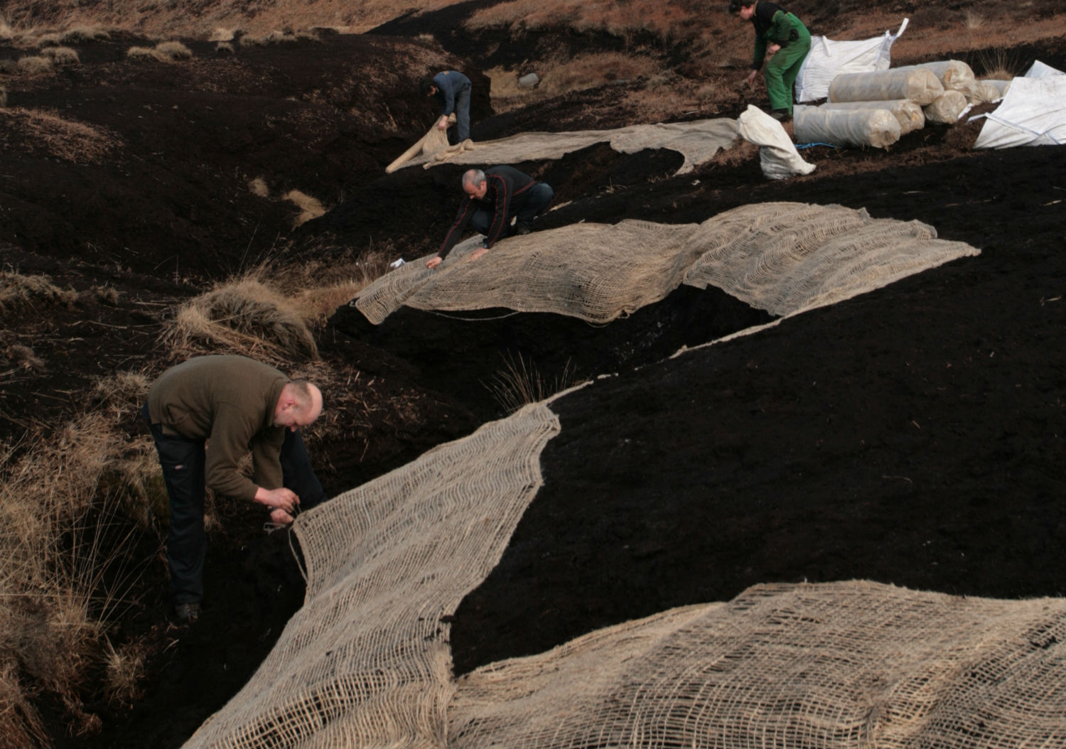 Image of geotextile matting on bare peat