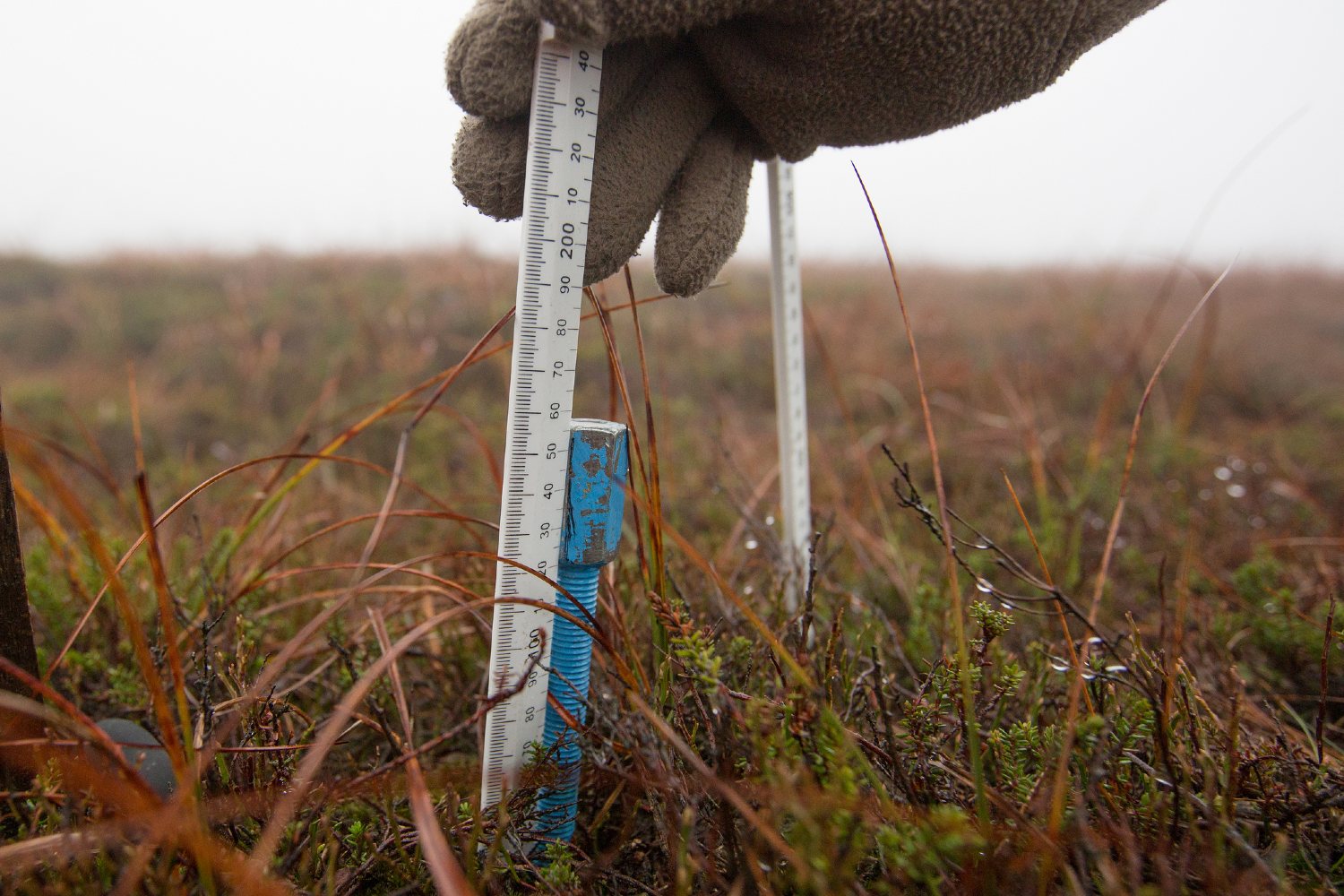 Measuring on the moors