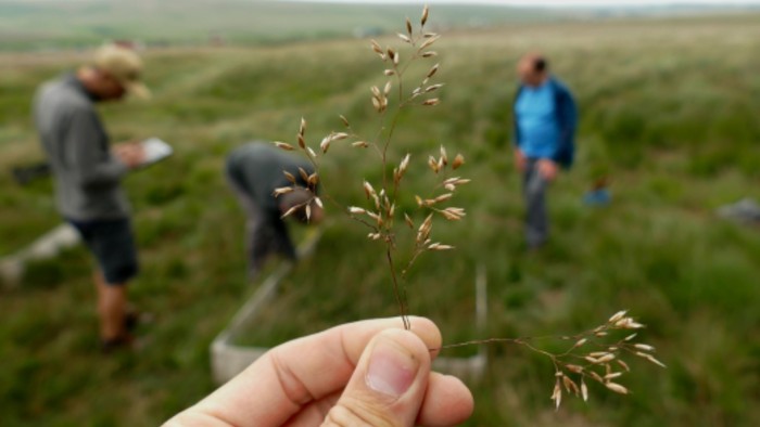 Vegetation Monitoring 2019