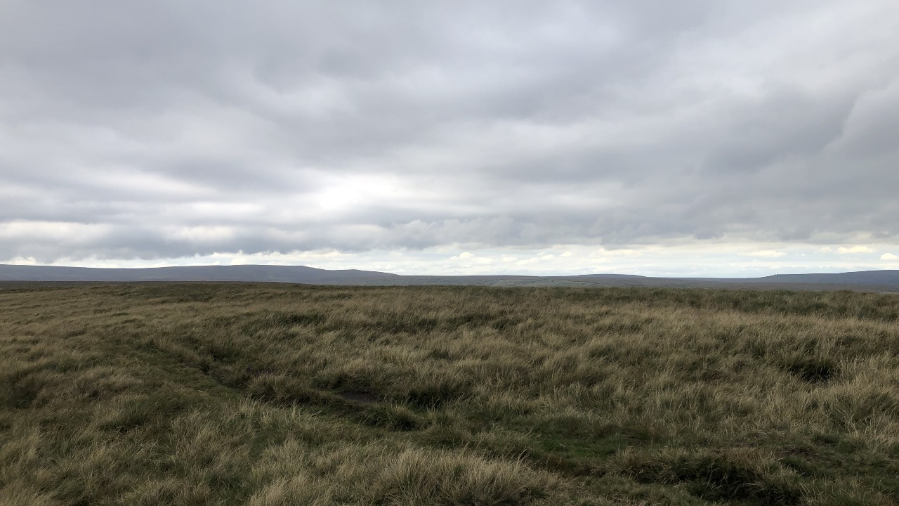 Alport Castles - 1 August 2023