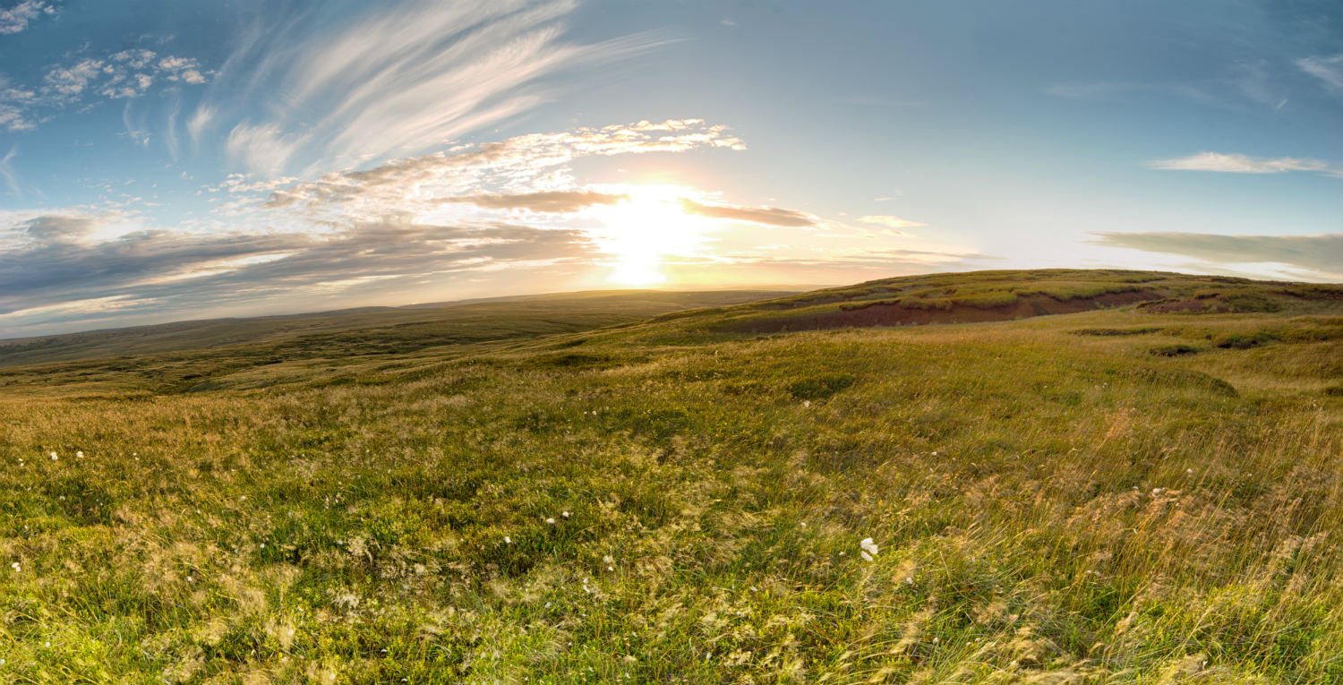 A beautiful day on the moors