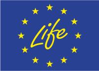 Image of the Life logo