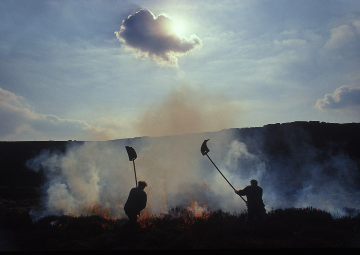 Fire on the moors