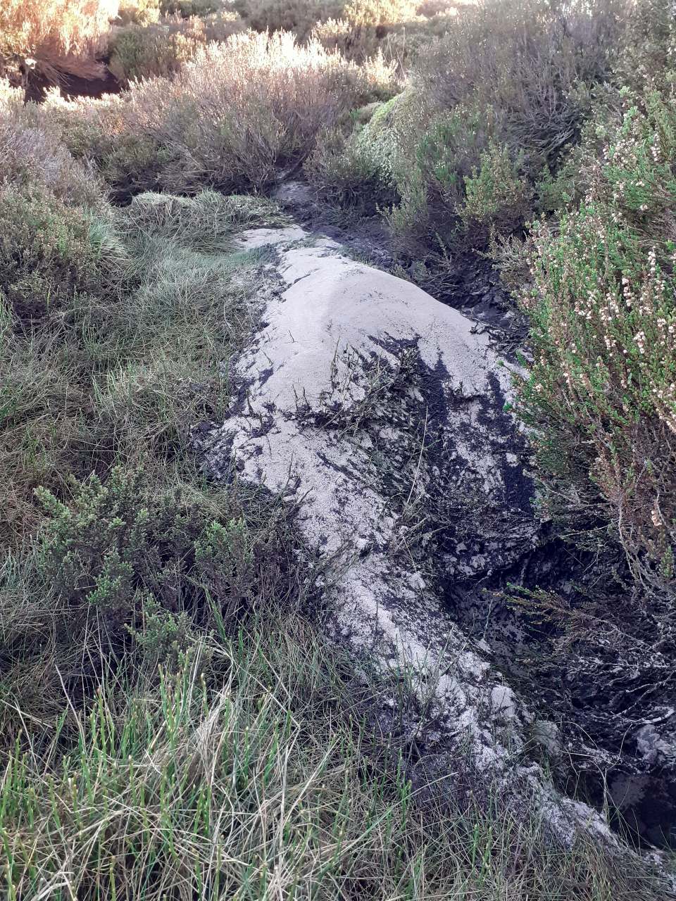 Sand that has washed out of a peat pipe