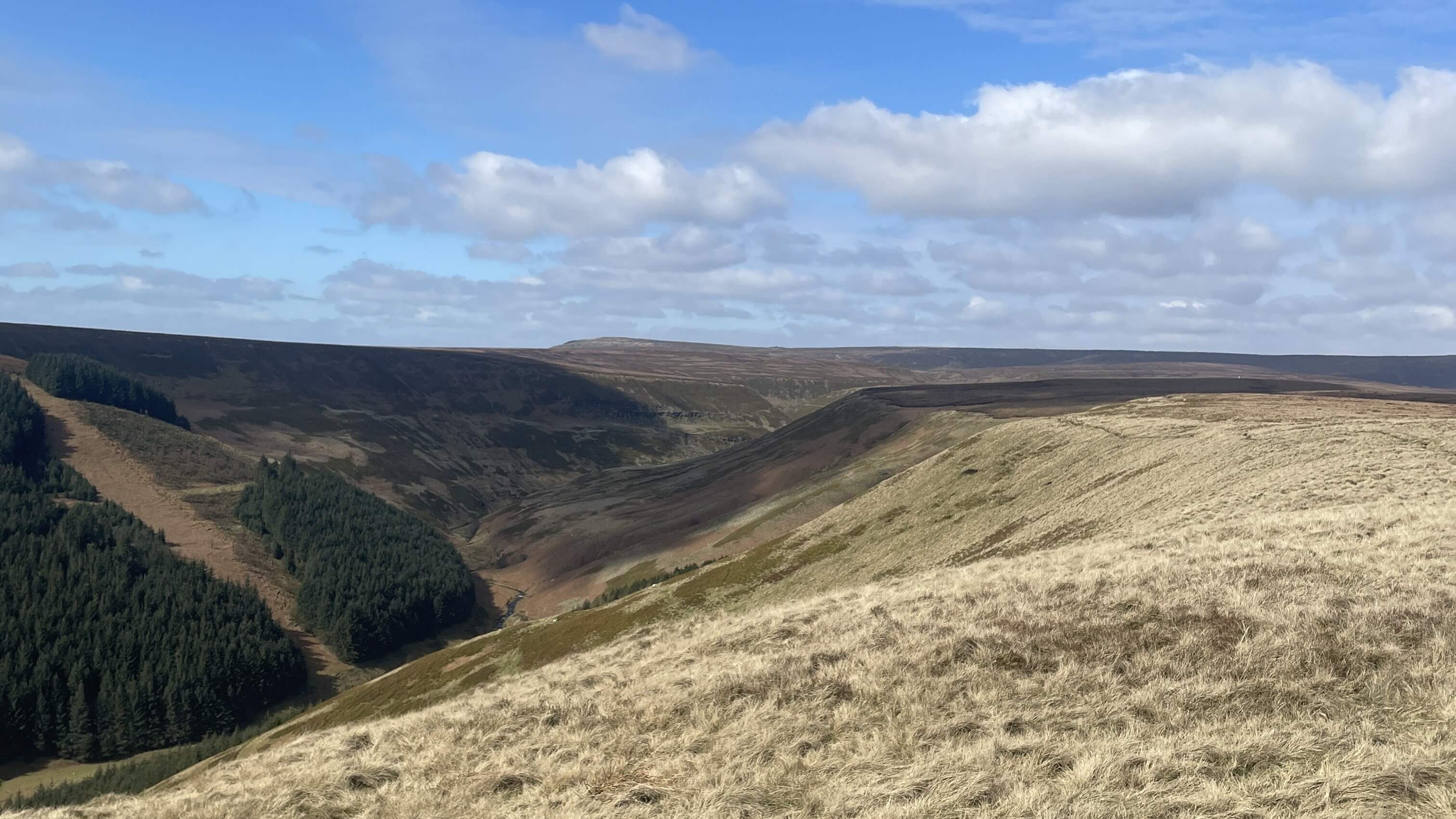 Alport Dale - 2 April 2023