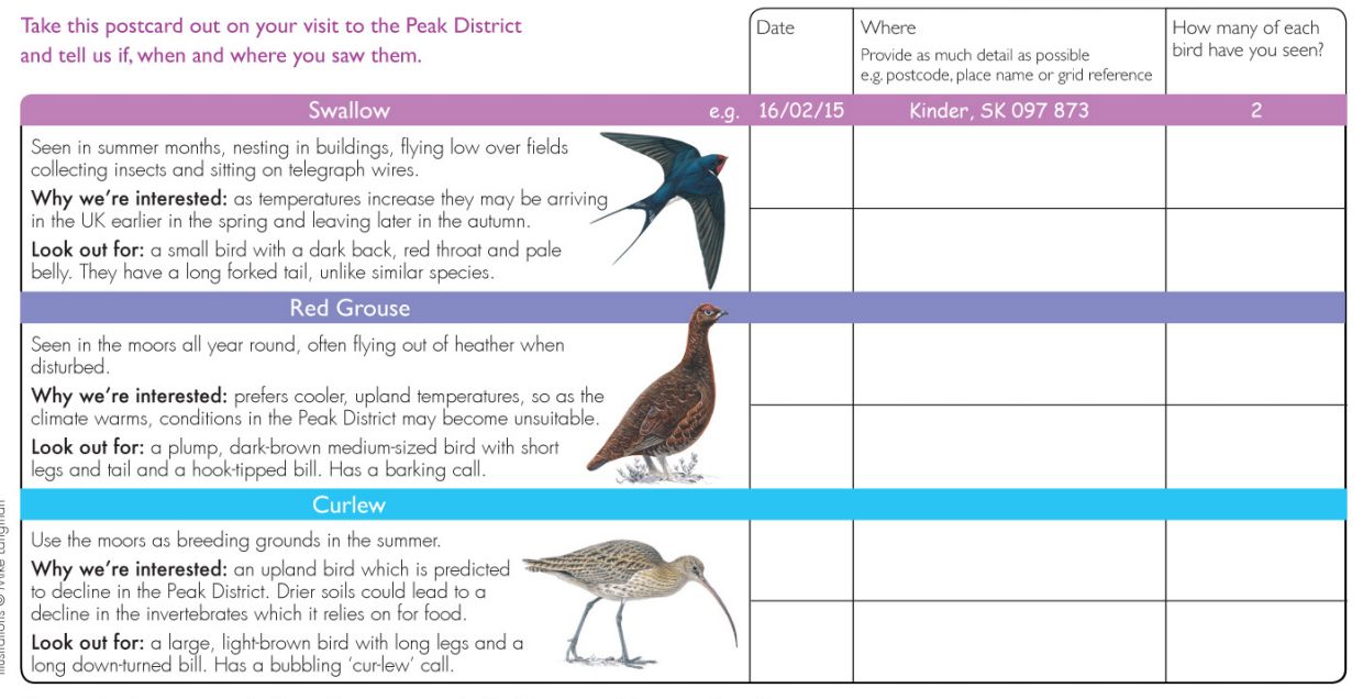 Moorland Bird Survey