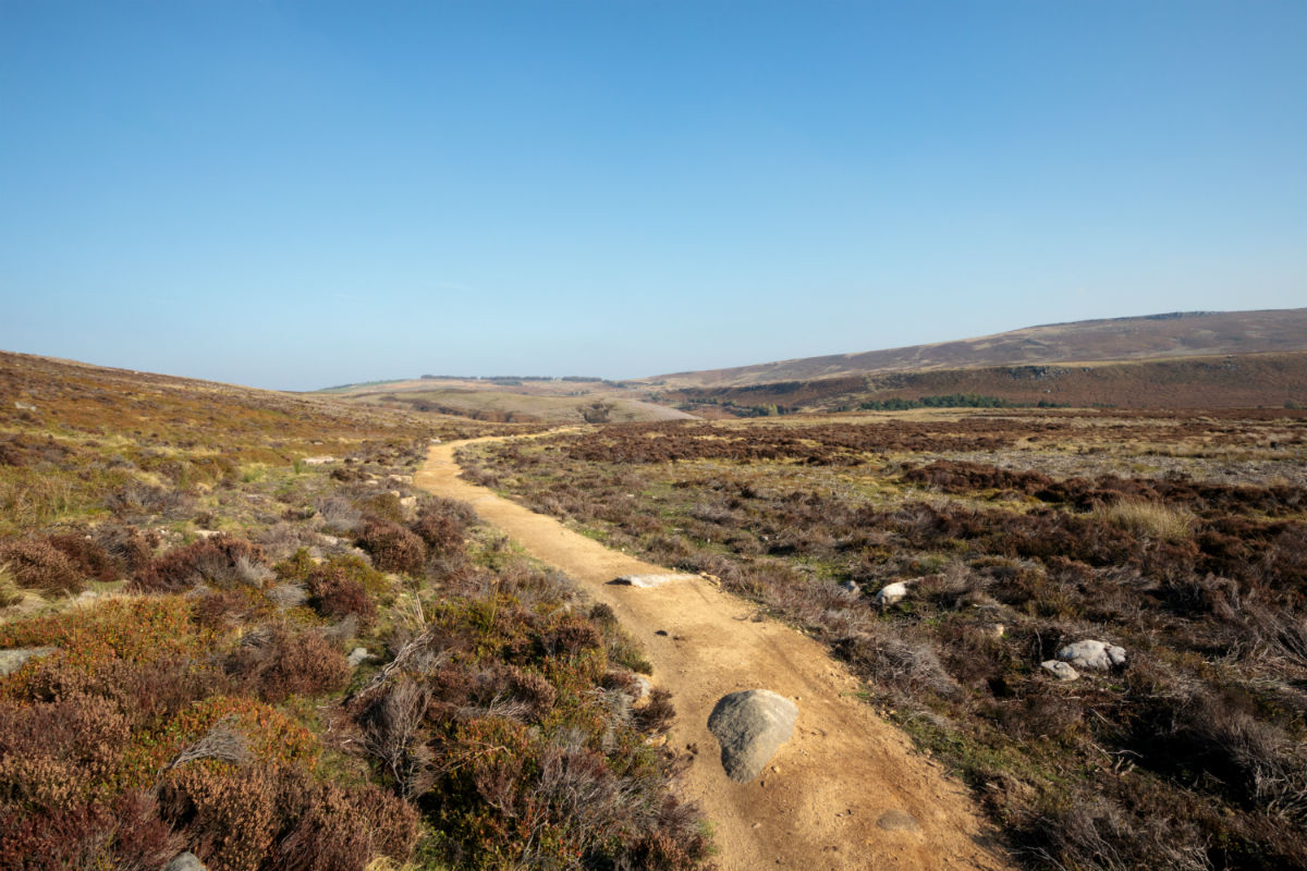 Cutthroat Track works