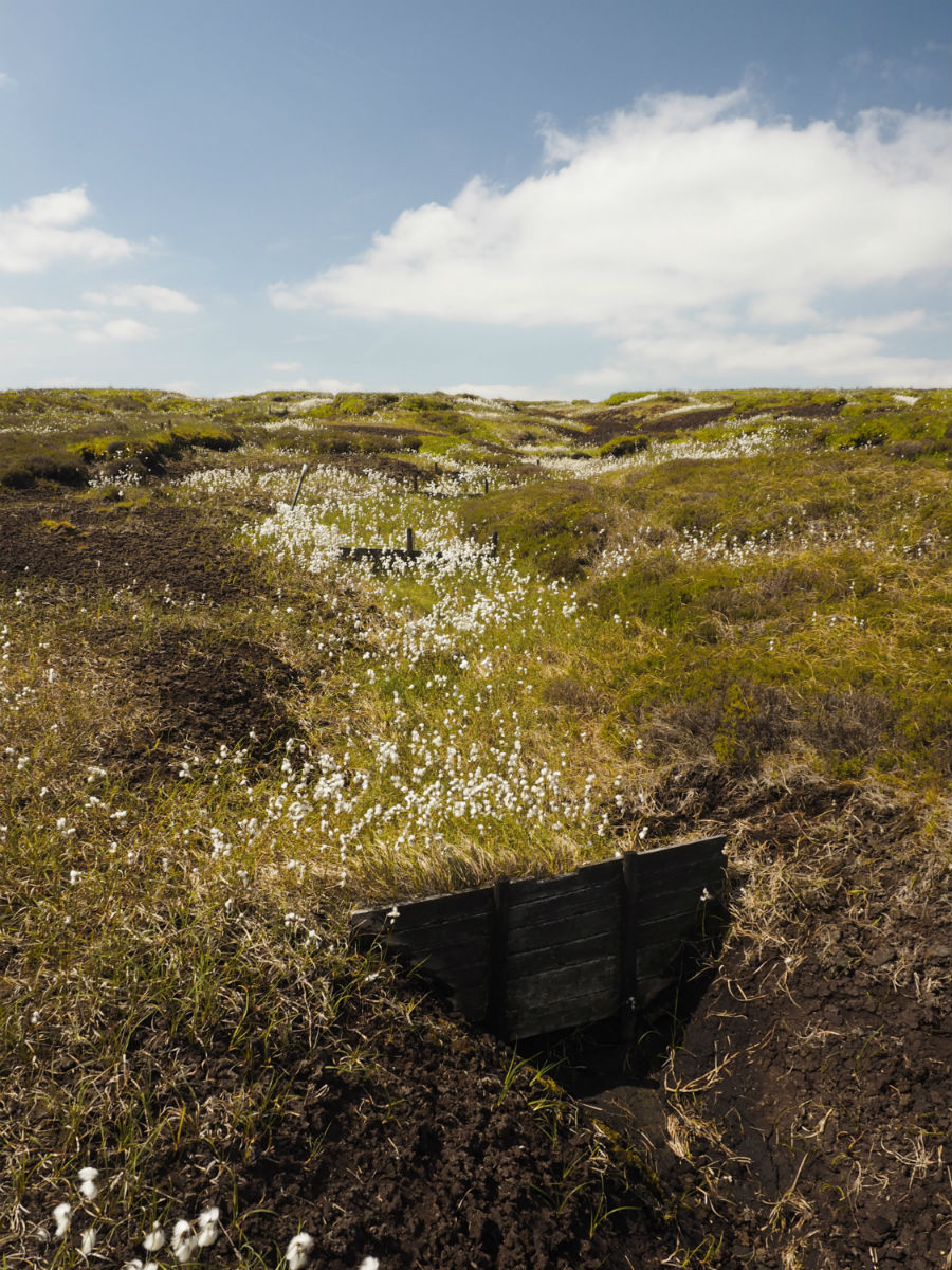 xKinder Catchment Project