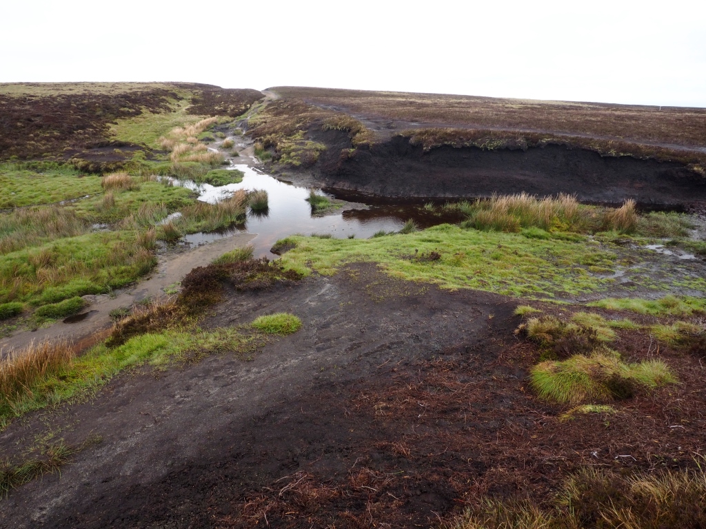 Cut Gate Bog of Doom